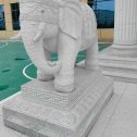 常州 白麻花岗岩动物异形石雕-大象