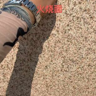 常州黄金麻火烧面