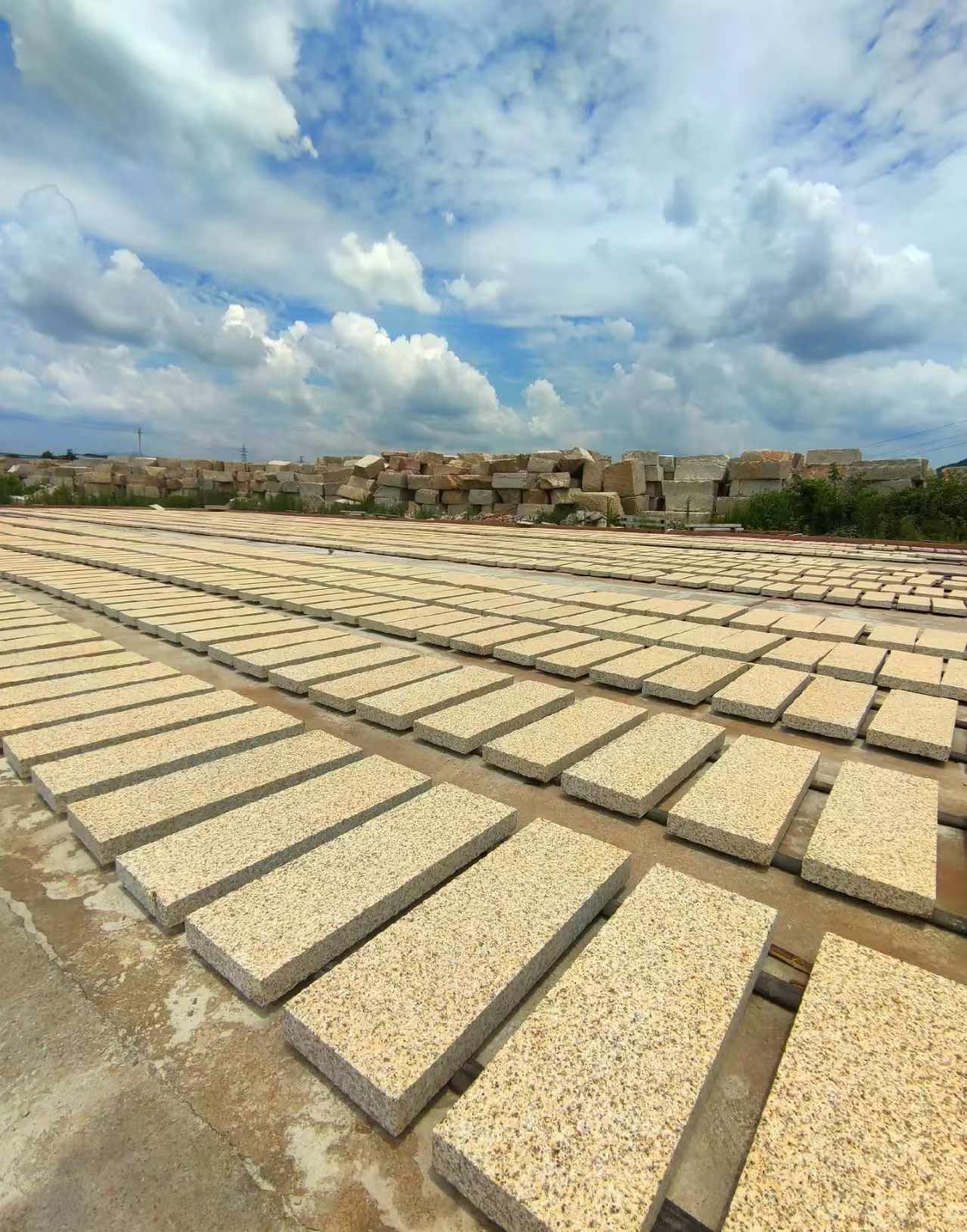 常州 黄金麻荔枝面花岗岩石材地铺石防护中